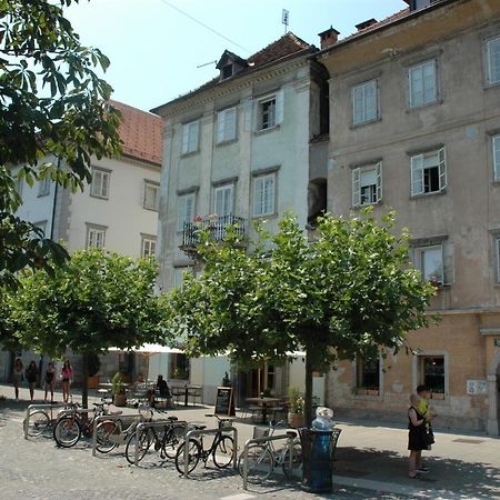 Vitez Apartment II Ljubljana Kültér fotó