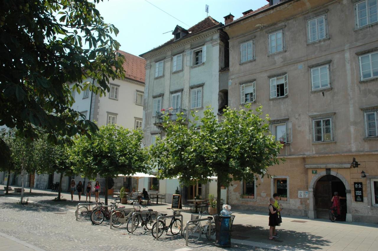 Vitez Apartment II Ljubljana Kültér fotó