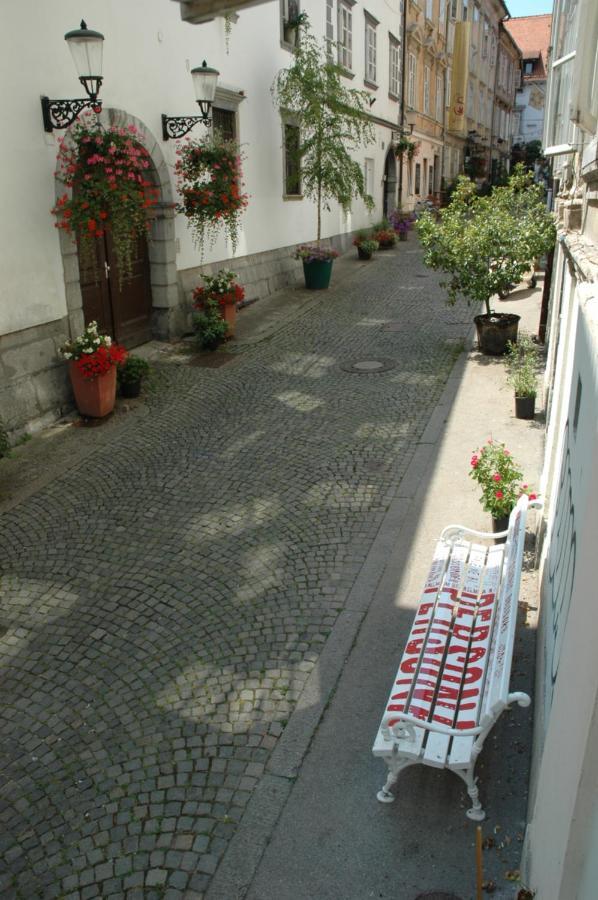 Vitez Apartment II Ljubljana Kültér fotó
